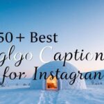 150+ Best Lgloo Captions For Instagram