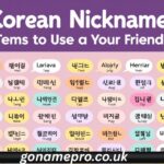 Korean Nicknames – Terms to use to address your friends