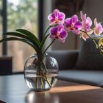 Best 150+ Orchid Flower Captions For Instagram