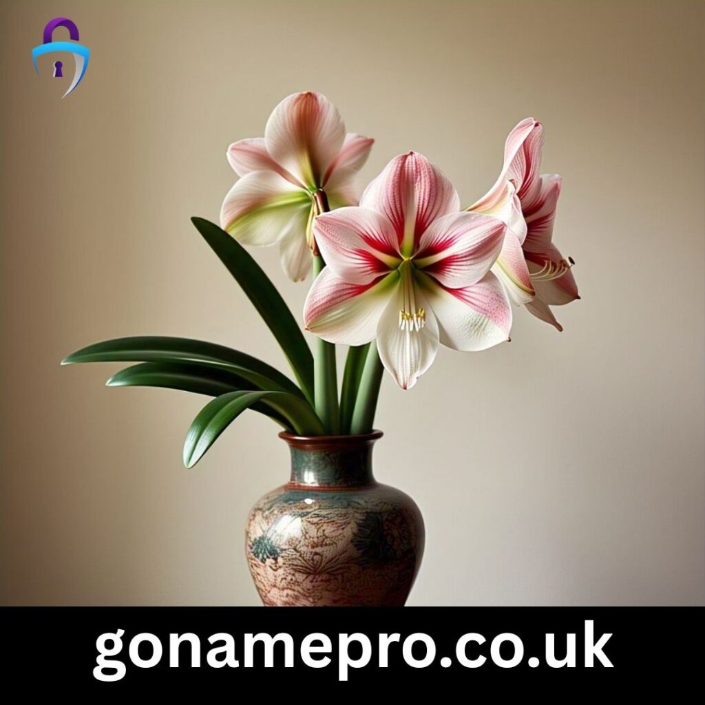 ๐น Romantic Amaryllis Captions