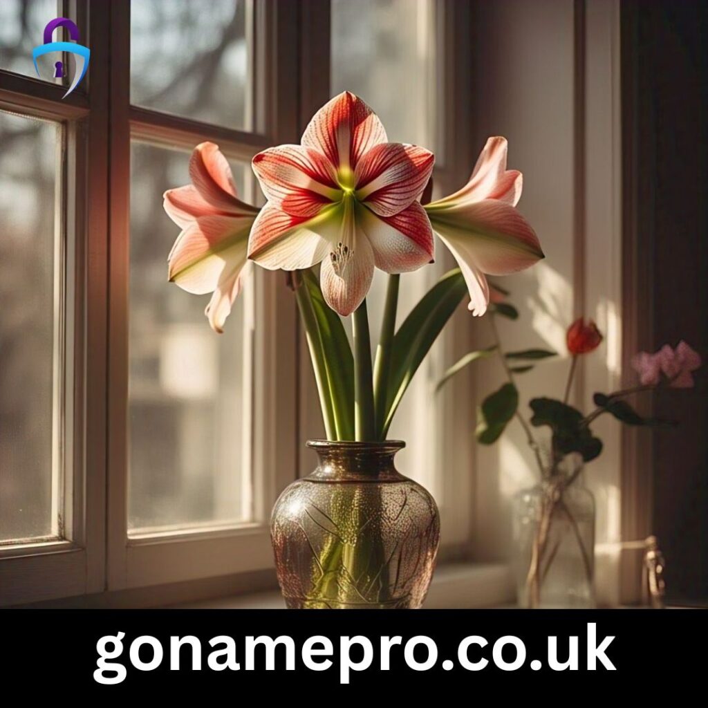 🌷 Seasonal Amaryllis Captions