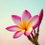 Top Picks (160+) Plumeria Captions For Instagram